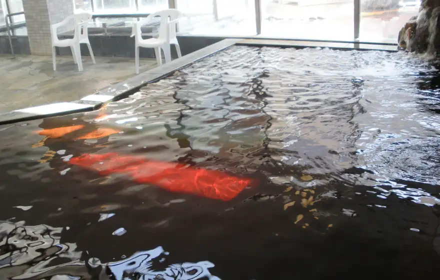 画像:天然温泉 ゆの華 利根の湯大浴場