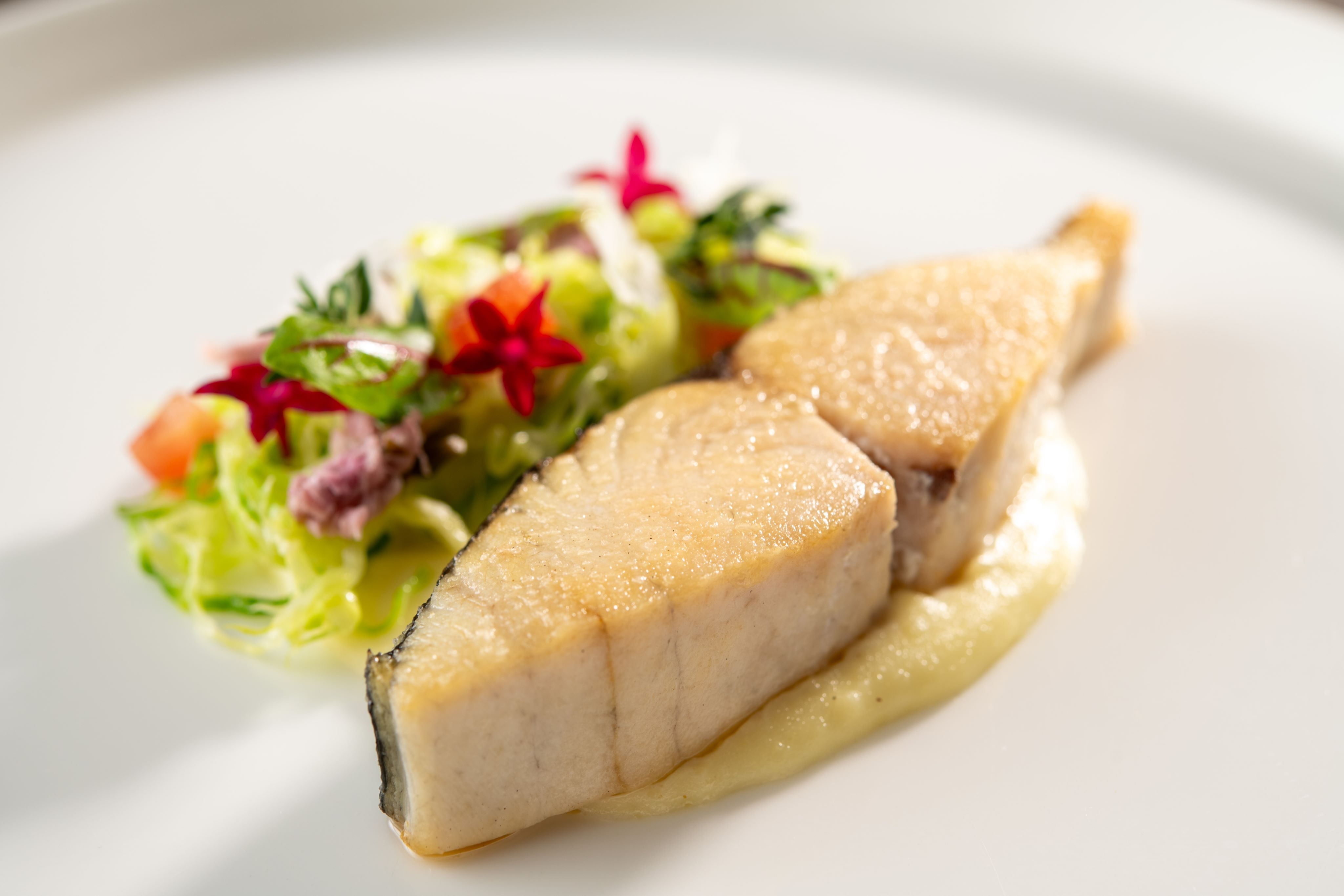 まごころ豚のソテーとポルチーニ茸の焼リゾット